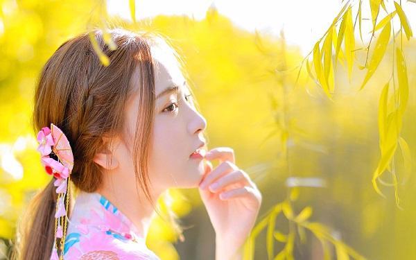 登徒浪子苦苦相邀若非真心勿情挑是什么生肖，全面释义、全面解答解释落实